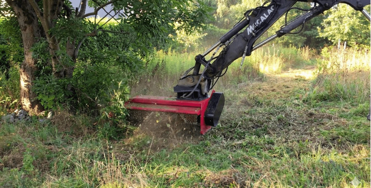 Wynajem czy zakup kosiarki bijakowej – sprawdzamy koszty, opłacalność i sytuacje, w których własny sprzęt daje największą przewagę />
  </div>

                        